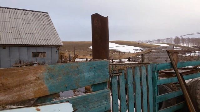 Шашлык и наша красноухая черепаха? смотреть онлайн