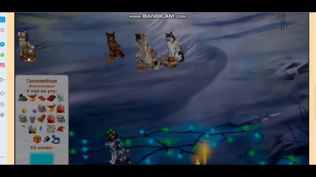 Кетвар ! Новогодний квест! Catwar