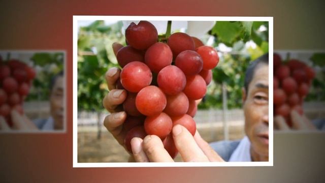 ✔"Виноград" - слайд для детей и подростков/ интересные факты о винограде /МСЦ ЕХБ Новинка 2019 смотреть онлайн