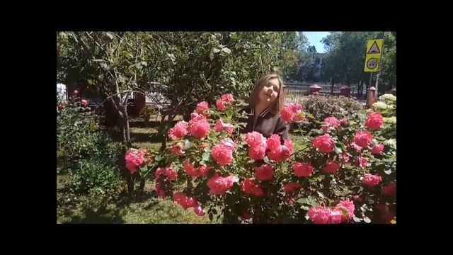 Читаем Фета смотреть онлайн