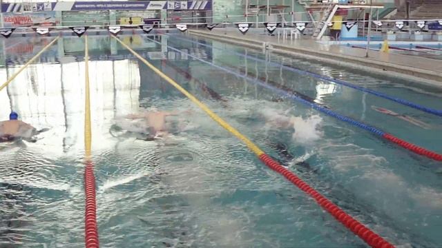 Соревнования по плаванию среди ЛОВ смотреть онлайн
