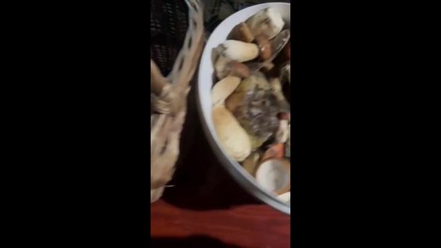 ТАКИЕ ГРИБЫ Вы ещё не видели! Грибы-рекорсмены Закарпатья ! смотреть онлайн