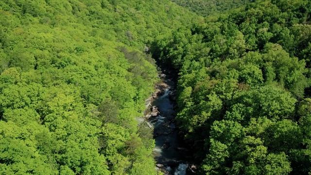 RELAX MUSIC GREEN WALK смотреть онлайн