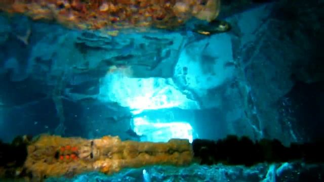 Шарм Тистлегорм смотреть онлайн