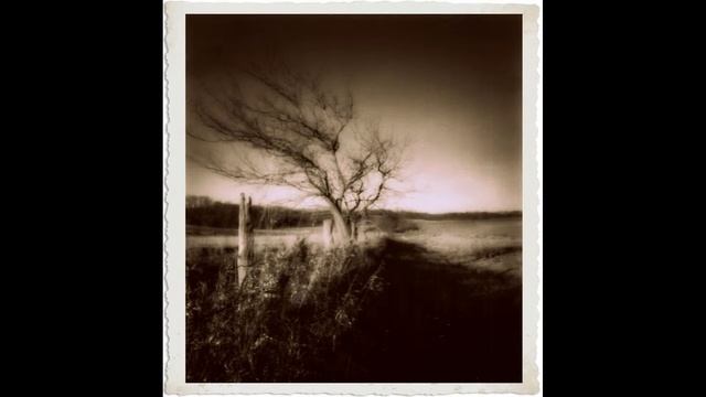 Pinhole Camera Images / Converted Polaroid Color Pack camera смотреть онлайн