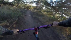 Царь ТелеТрейла. Совместное видео всех участников. #saratov_trail #матрацфорева