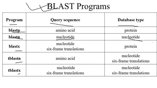 BLAST, PAM & BLOSUM (1)| Explained| Bioinformatics смотреть онлайн