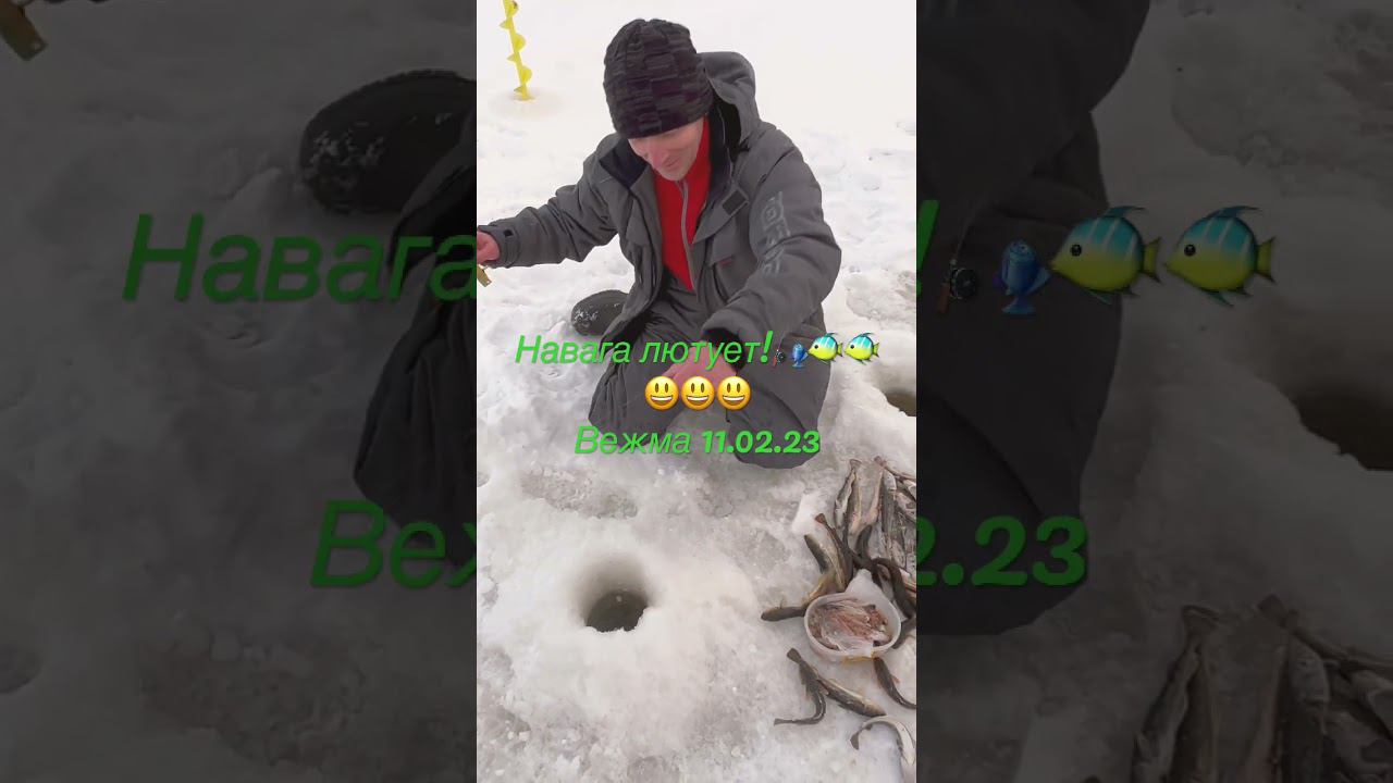 ✅ НАВАГА ДОЛБИТ Вежма. Унская губа 11.02 #Рыболов_Севера #рыбалканасевере #корюшка смотреть онлайн