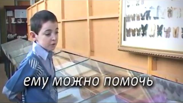 Ребенок-бабочка из Дагестана смотреть онлайн