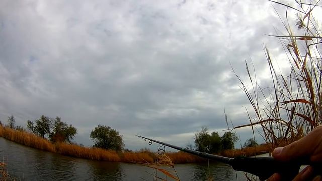 Поиск щуки на малом водоеме. Часть 3. Джиг. Keitech Easy Shiner. Как покажет себя топовый силикон? смотреть онлайн