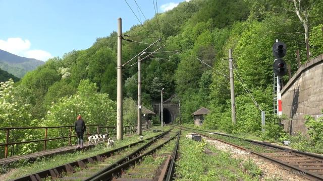 Rail traffic in Romania - Snakes, tunnels, bridges - National Park Jiului [4K] смотреть онлайн