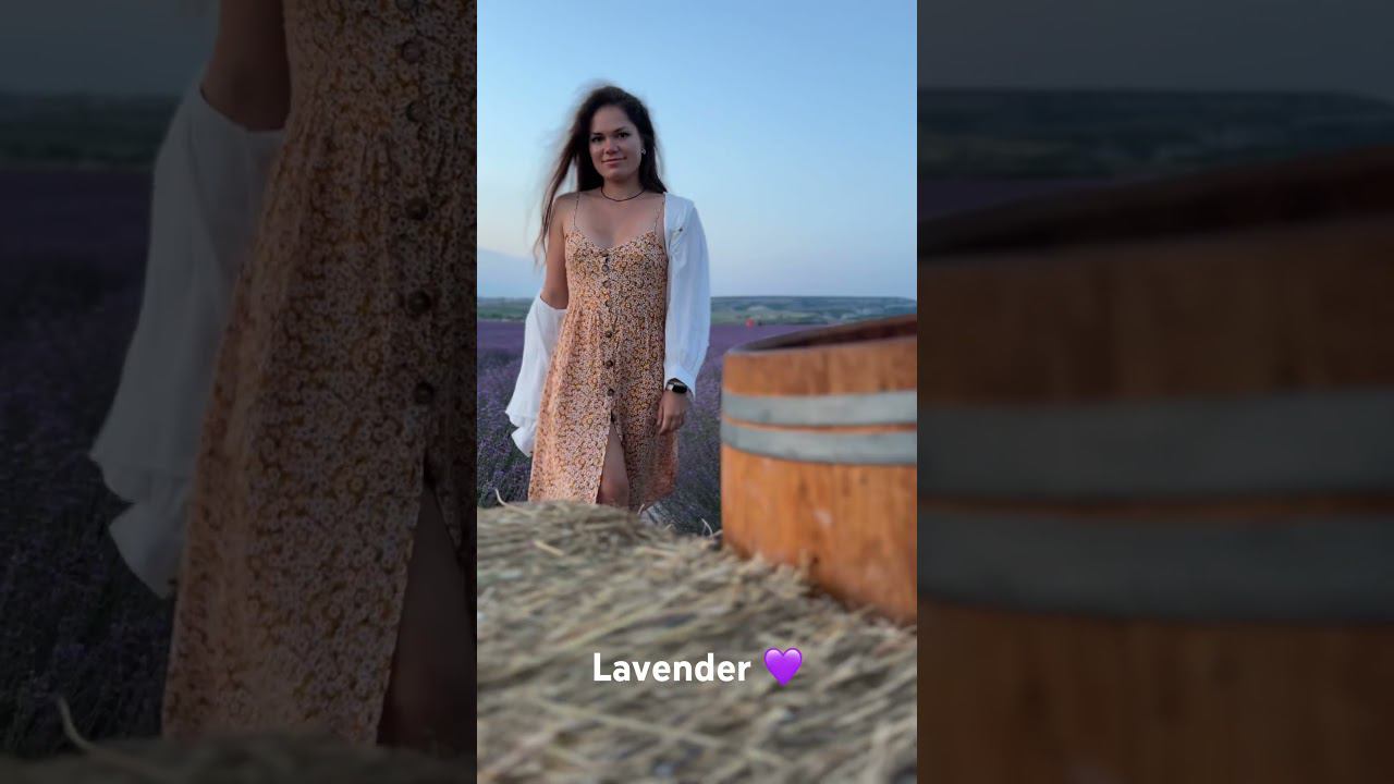 Lavender fields and the beauty смотреть онлайн