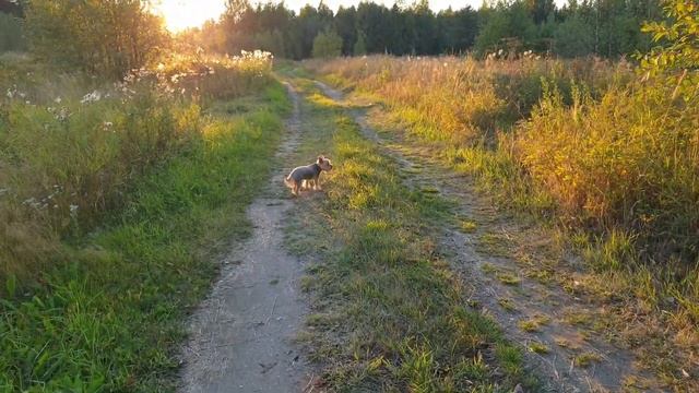 Влог: Дачный сезон закрыт