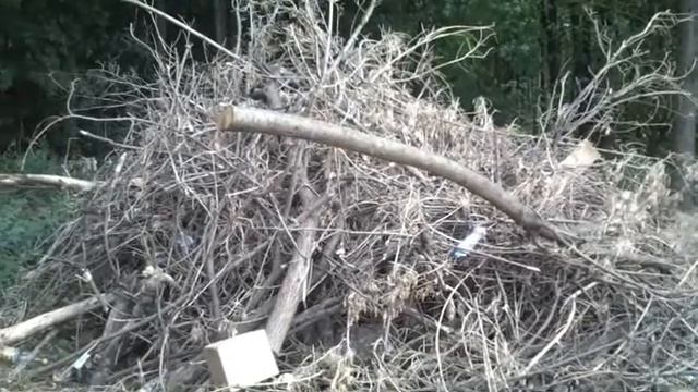 Пожароопасная обстановка на Зеленовке в Балашихе! смотреть онлайн