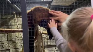 Контактный зоопарк БЕЛЫЙ КЕНГУРУ/обезьяны хватают за пальцы ТРЭЭЭШ