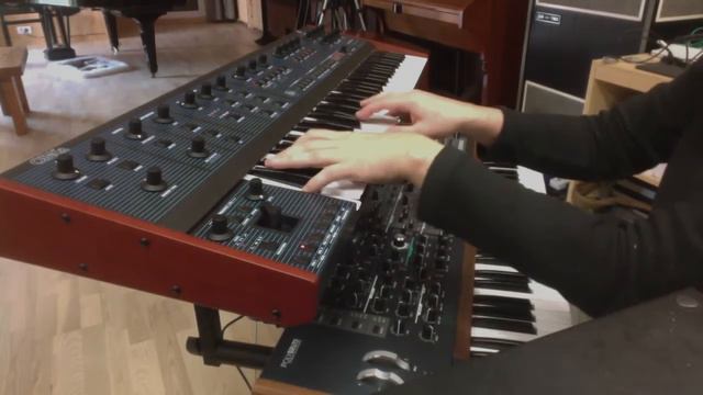 Démo UBXa Prophet 5 Radiohead style смотреть онлайн