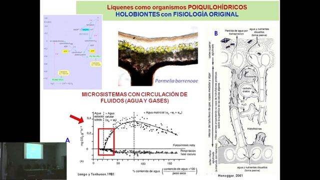 LOS LÍQUENES COMO PARADIGMA DE LAS SIMBIOSIS COMPLEJAS смотреть онлайн