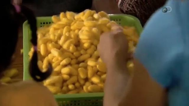 Шёлк Из чего это сделано смотреть онлайн