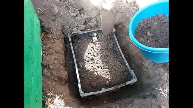 Пора сажать тюльпаны / Сажаем разными способами смотреть онлайн