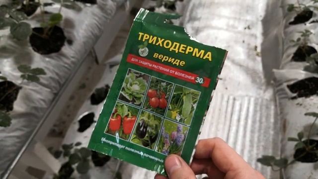 Отзыв на триходерму вериде. Используем триходерму в ситиферме или малообъемке.