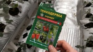 Отзыв на триходерму вериде. Используем триходерму в ситиферме или малообъемке.