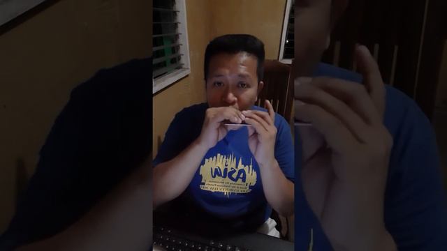 [Pinoy Harmonica Player] "Bella Ciao" by Manu Pilas (Chromatic Harmonica Cover) смотреть онлайн