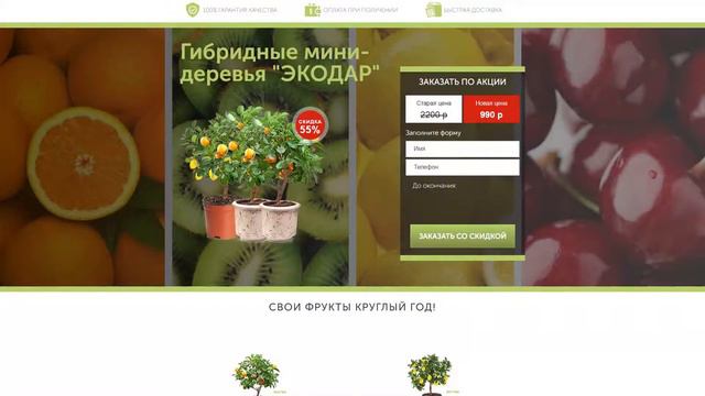 Гибридные мини-деревья в Санкт-Петербурге смотреть онлайн