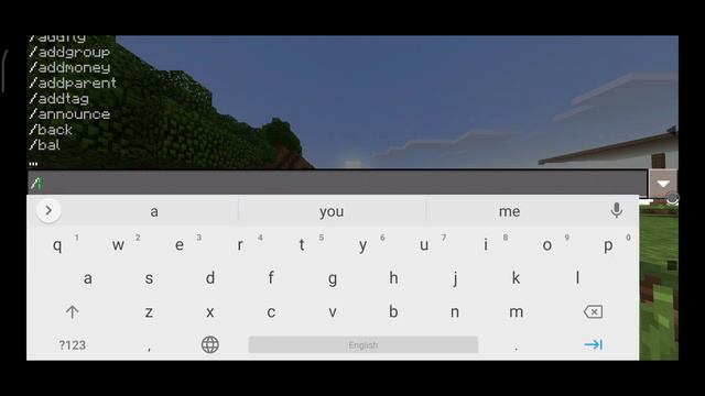 Как сделать префикс консоль на сервере Hypego