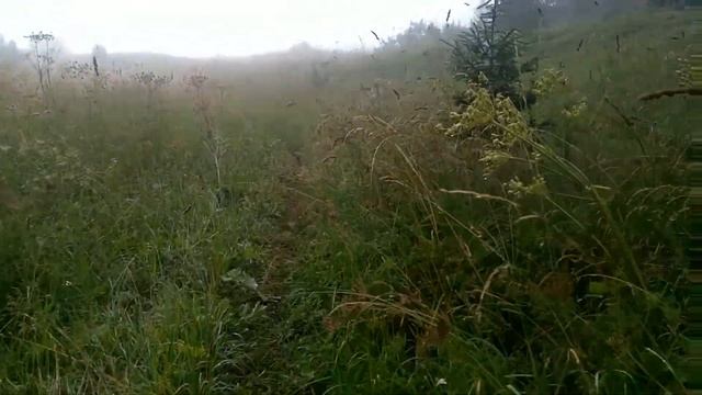 Е8 ден 7ми - от село Мугла до Пампорово смотреть онлайн