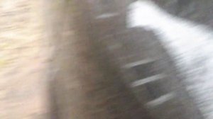 замена ламп шевроле лачетти хетчбек