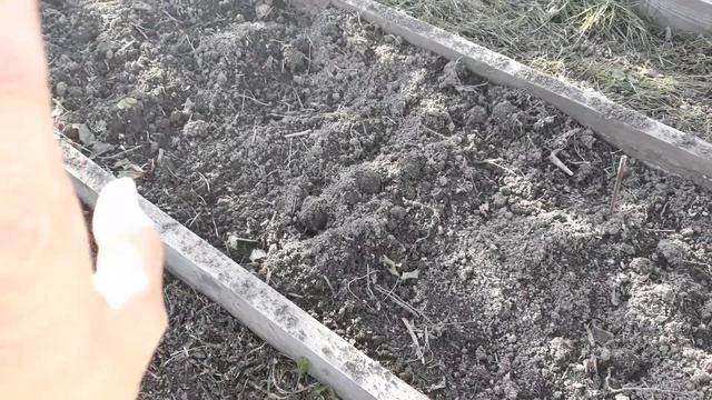 Кура!!! Орешки ЧУФА. Работа в огороде. смотреть онлайн