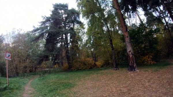 Silver Forest ? walking tour ??♂️Moscow city ?? 4K Russia