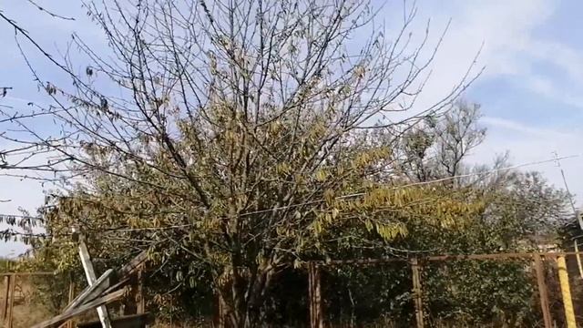 Делаю запасы на зиму//хозяйственный влог смотреть онлайн