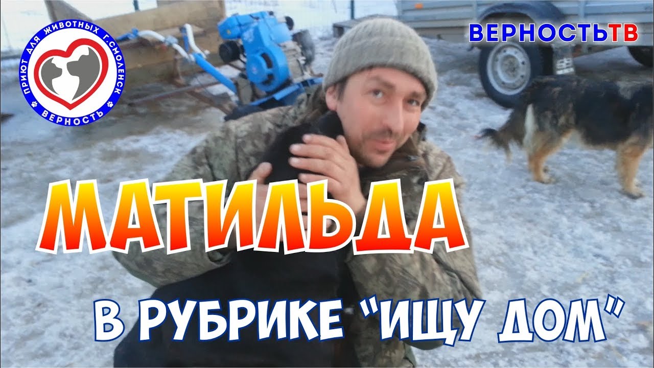 Матильда "Ищу Дом"