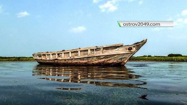 Лежбище сивучей / Мыс Делиль-де-ла-Кройера. Остров Сахалин / Sealions