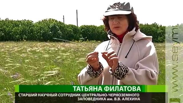 Заповедник имени Алехина вновь встречал гостей смотреть онлайн
