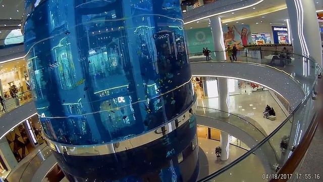 Океаниум - гигантский аквариум смотреть онлайн