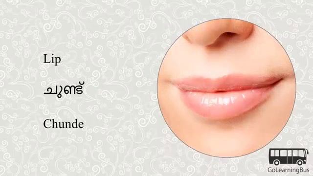 изучение малаялам.  MyGuide. Learn Malayalam