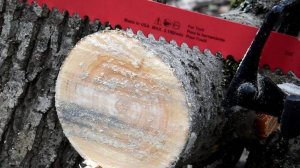 Тестируем полотна для сабельной пилы. Irwin 372156, Makita P-05072, Bosch S1542K, Diablo DS1203CP3.