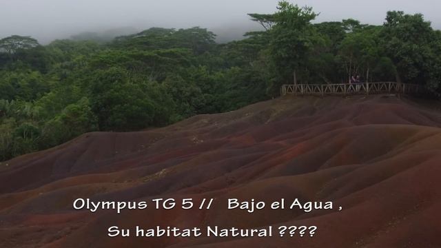 Olympus TG5 | 2ª Parte | Prueba de campo