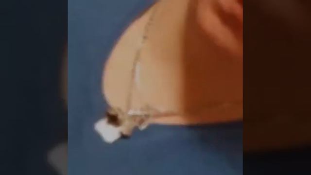 Наше Рождество! смотреть онлайн