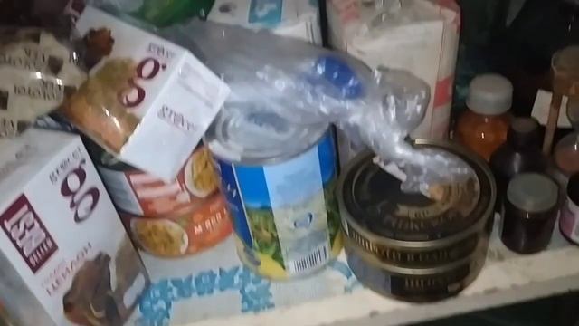 ЛОВЛЮ ТАРАКАНОВ. ПОЛНАЯ КВАРТИРА ТАРАКАНОВ