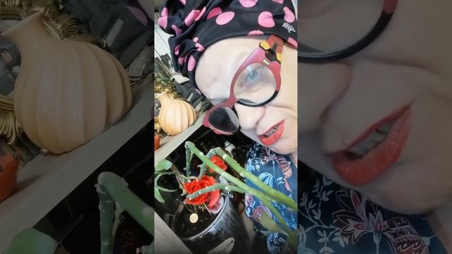 Утренние разговоры. День ПримЕрения и согласия. Мамочка шефа смотреть онлайн