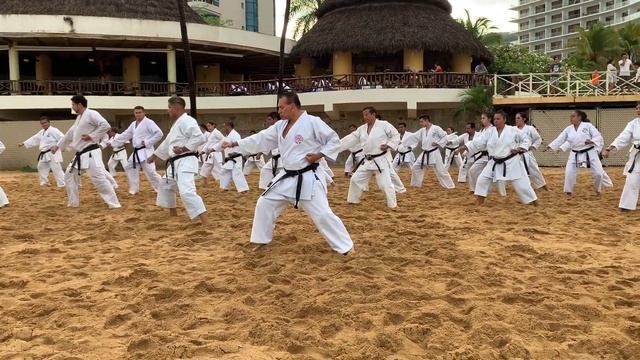 Entrevista Al Estilo KATANA Con 3 Tigres De Shotokan...