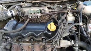 Хлопки на чери амулет