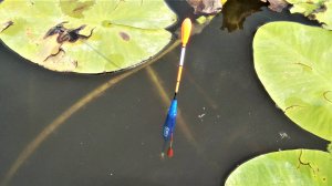 КАКИЕ ДВЕ УДОЧКИ?! НА ОДНУ НЕ УСПЕВАЮ! МНОГО КАРАСЯ НА ПОПЛАВОК