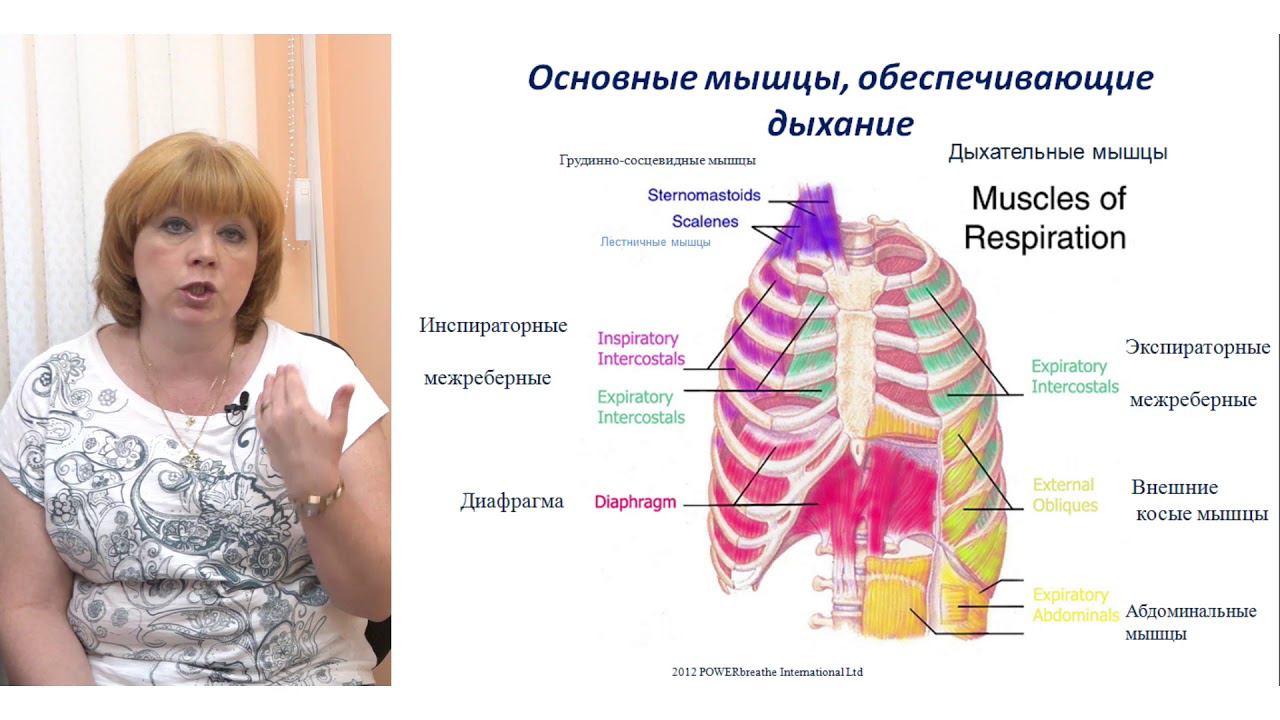Легочная реабилитация для пациентов с новой коронавирусной инфекцией COVID-19 смотреть онлайн