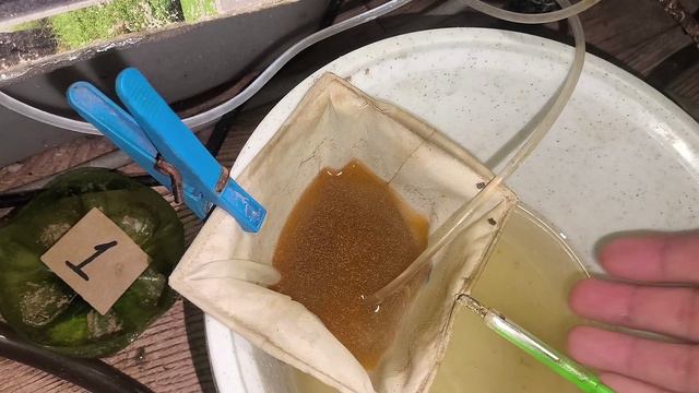 Переселение рыбок и полезная информация смотреть онлайн