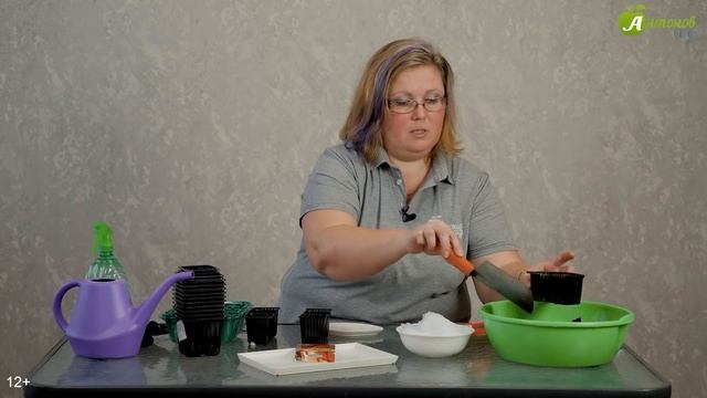 Земляника садовая - посадка и уход. 3 способа посева земляники семенами смотреть онлайн