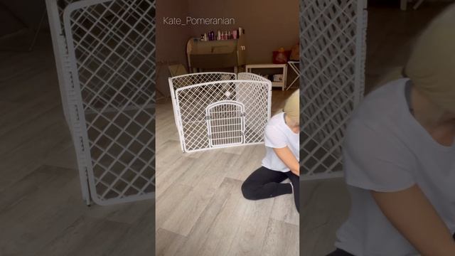 Почему щенки скулят в вольере ? смотреть онлайн